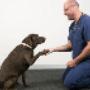 Uploaded by visitor on 31/3/2017 - Dr Rob Webster with a dog