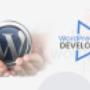wordpress-development