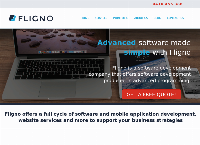 Fligno Digital Marketing Agency's website