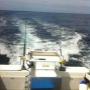 fishing boats for sale in sydney