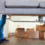 Removalists