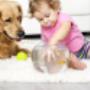 domestic cleaning