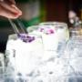 Gin Vodka Tasting