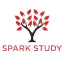 Spark International Student Services Pvt Ltd