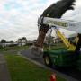 Garden Maintenance Melbourne
