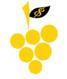 Cash Berry Clothing