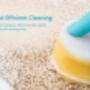 Blue Sky Carpet Cleaning