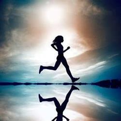 Mona Vale Chiropractic and Natural Therapies