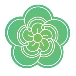 Noosa Holistic Health