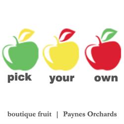 Paynes Orchards