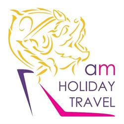 AM Holiday Travel