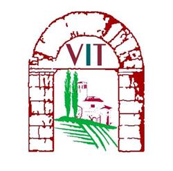 Vita Italian Tours