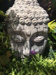 Albany Bali Style Accommodation