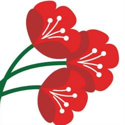 Floral Expressions