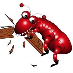 Surekil Pest Control