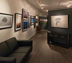Ben Messina Landscape and Nature Photography