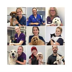 Capalaba Veterinary Clinic