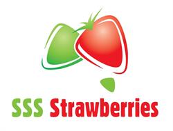 SSS Strawberries
