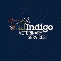 Indigo Veterinary Services