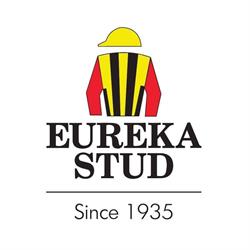 Eureka Stud