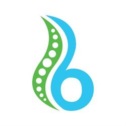 Bremer Chiropractic