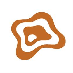 Pathfinders Australia
