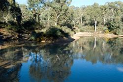Toodyay Holiday Park & Chalets