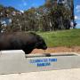 ClearWater Trough