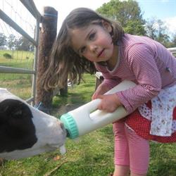 Bodalla Dairy Shed