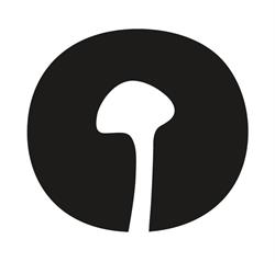 Enoki Pty Ltd