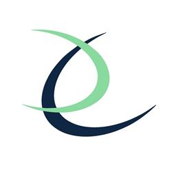 Pendragon Management