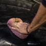 Car Polishing