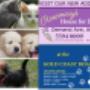 Kennels Opening Times
