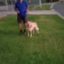 POwer Walk for Energetic Dogs