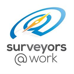 Surveyors at Work