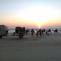 Uploaded by visitor on 22/6/2017