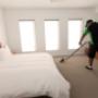 Carpet Cleaning