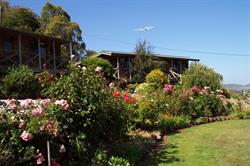Mole Creek Cabins