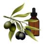Homeopathic Remedies