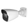 IP Cameras