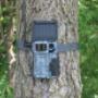 Spypoint Trail Cameras