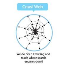 IMI Crawling Services LTD