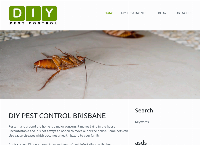 DIY Pest Control Brisbane