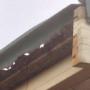 Ace Roof & Gutter Repairs