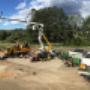 Lismore Tree Services