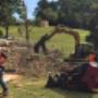 Tree Services