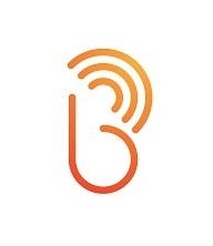 Broadcast SEO