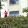 cleaning service