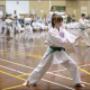 Uploaded by visitor on 19/5/2017 - First TKD Perth__ALC8991