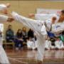 Uploaded by visitor on 17/8/2017 - First Taekwondo Perth 236